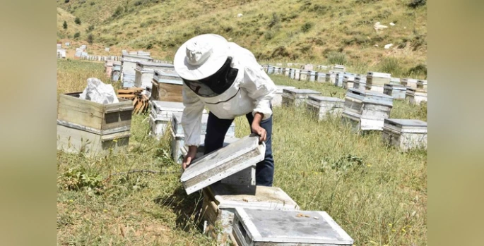 Bitlis'te kuraklık arıcıları vurdu: Rekolte yüzde 50 düşecek