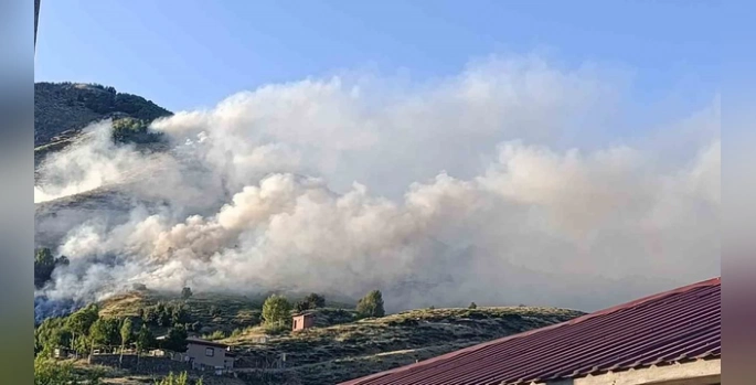 Genç'te orman yangını kontrol altına alındı