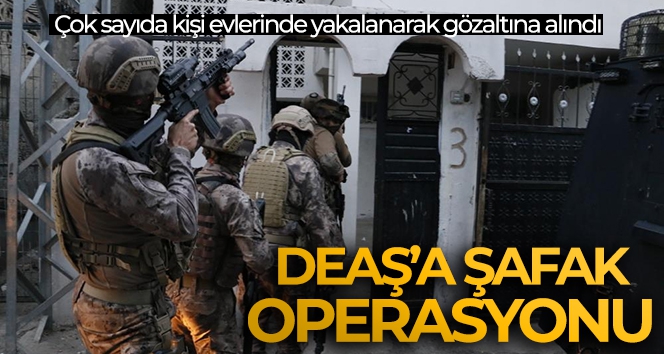Adana'da terör örgütü DEAŞ'a şafak operasyonu