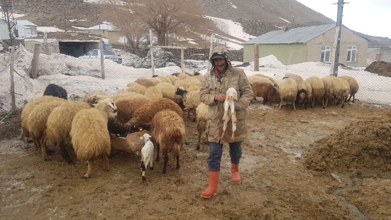 Adilcevaz’da bir yanda kış bir yanda bahar