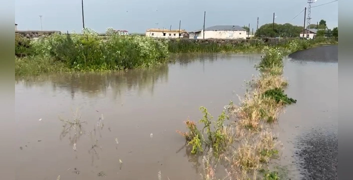 Akyaka'da şiddetli sağanak sel felaketi: ahırlar ve ekili alanlar sular altında