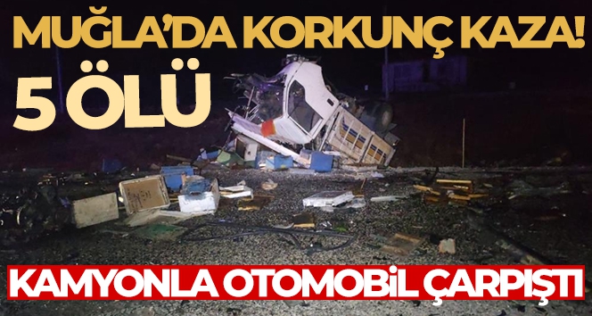 Arı yüklü kamyonla otomobil çarpıştı: 5 ölü, 2 yaralı