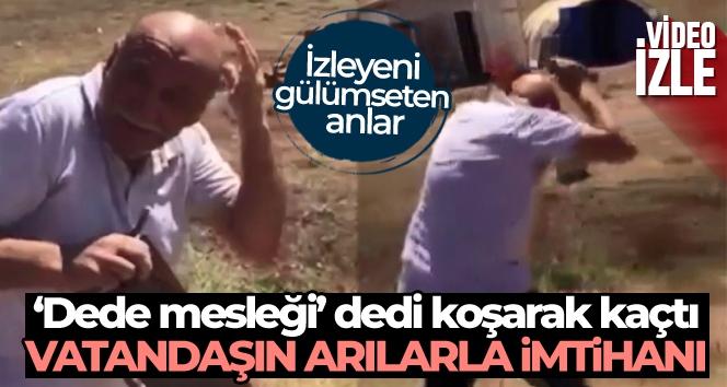 Arıcılık dede mesleği dedi, arılar saldırdı