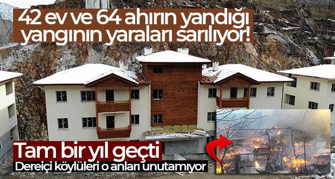 Artvin'in Dereiçi köyünde çıkan yangının üzerinden tam bir yıl geçti