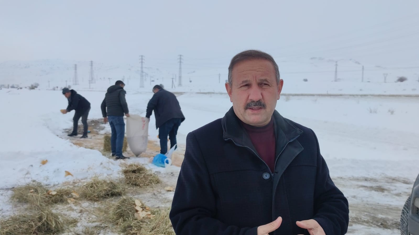 Aşkale'de sokak ve yaban hayvanları beslendi