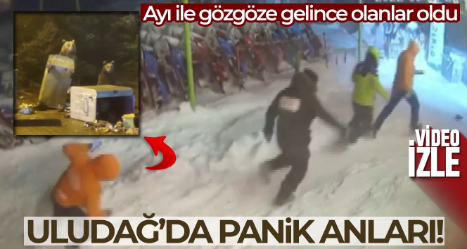 Ayı ile böyle göz göze geldiler...Uludağ'da ayı paniği kamerada