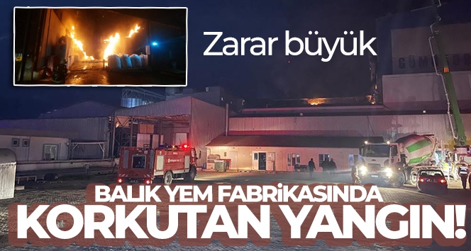 Balık yemi fabrikasındaki yangın kontrol altına alındı