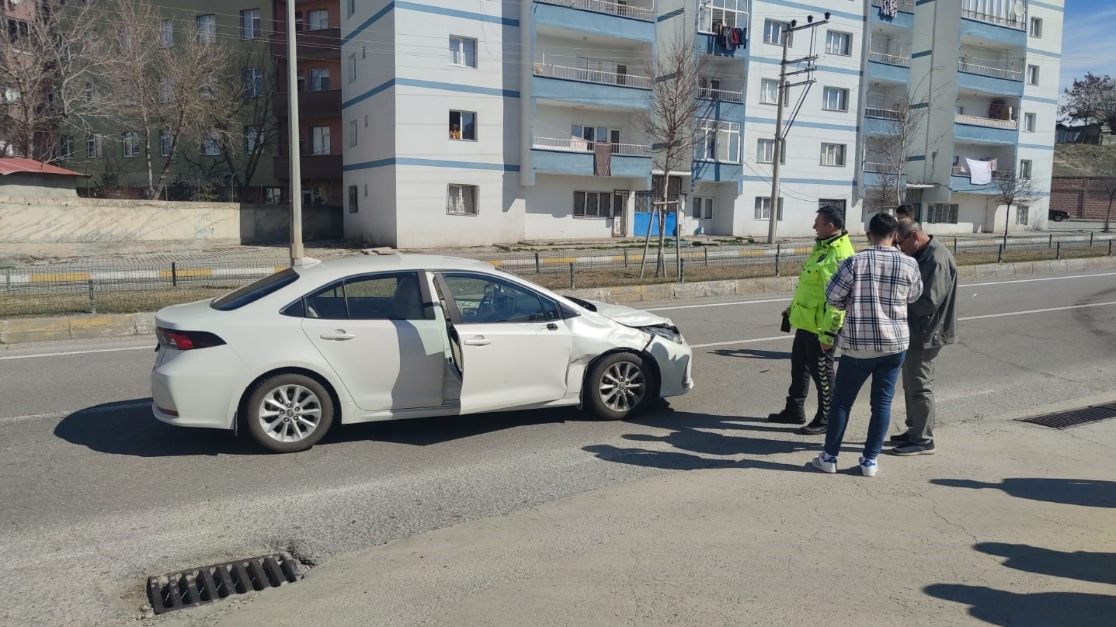 Başı boş hayvanlar kazaya sebep oldu