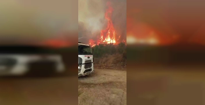 Bingöl itfaiyesi Hatay'daki yangınlara destek verdi: Ekipler yangın söndürme çalışmalarına katıldı