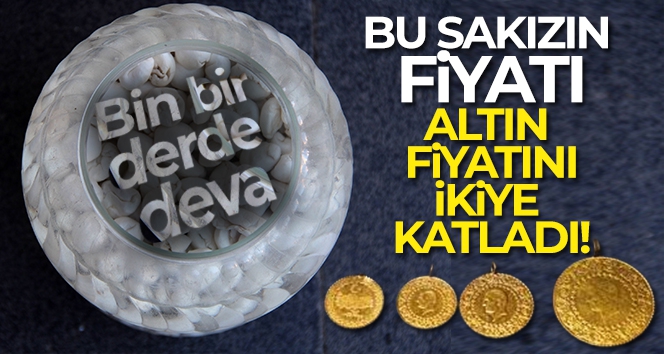 Bu sakızın fiyatı altın fiyatını ikiye katladı