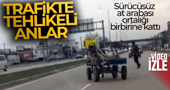 Bursa'da sürücüsüz at arabası trafiği birbirine kattı