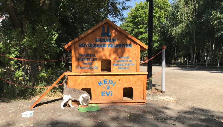 Büyükşehir il genelinde 68 noktaya kedi evi kurdu
