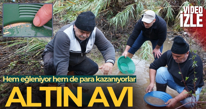 Buz gibi suda altın avı
