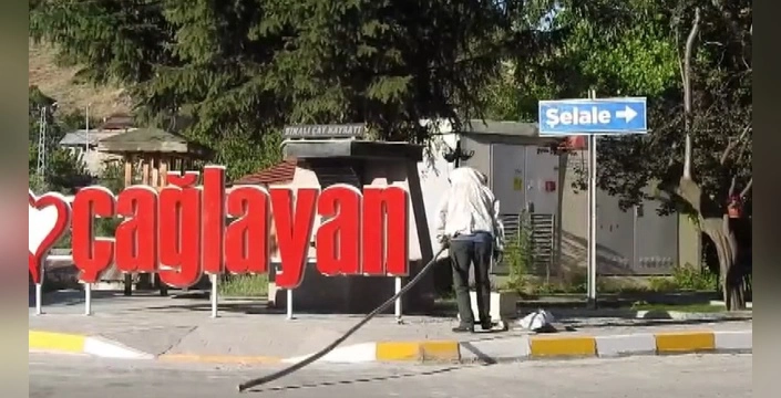 Çağlayan'da arı istilası: Kısa süreli panik