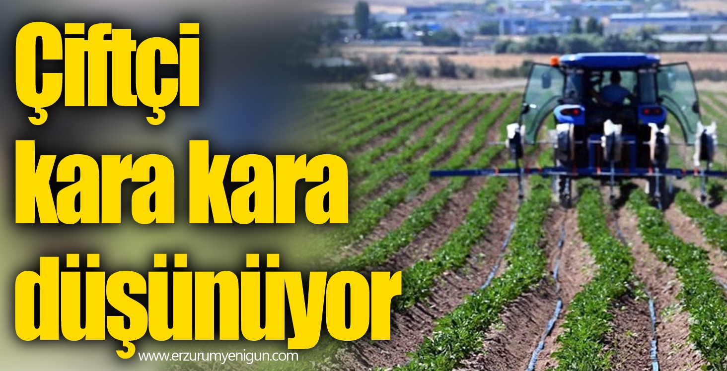 Çiftçi kara kara düşünüyor