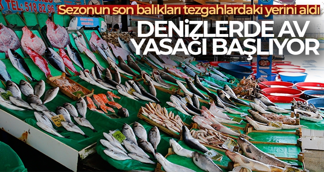 Denizlerde av yasağı başlıyor