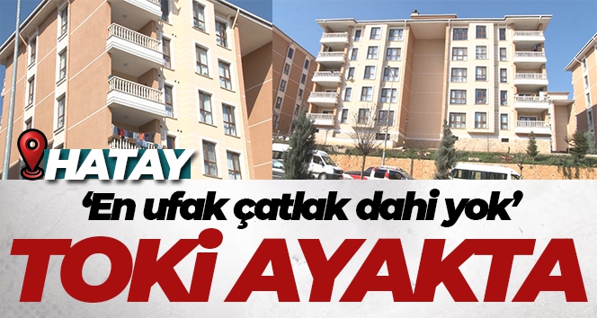 Depremin vurduğu Hatay'da TOKİ ayakta