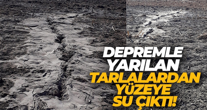 Depremle yarılan tarlalardan yüzeye su çıktı