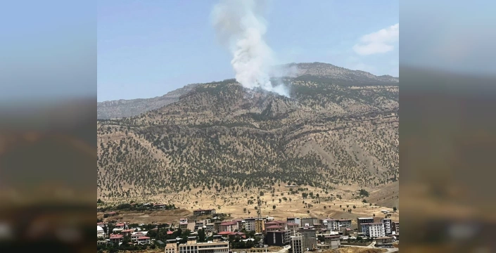 Derecik'te çıkan orman yangını kontrol altına alındı