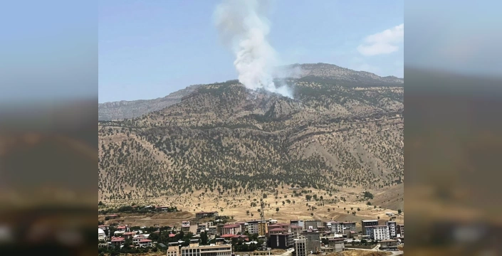 Derecik'te orman yangını kontrol altına alındı
