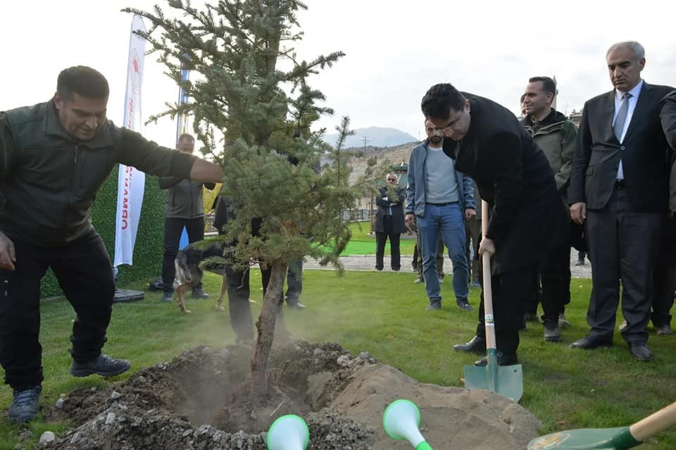 Doğa harikası Tortum Şelalesi'nin çehresi yeni dikilen fidanlarla değişecek