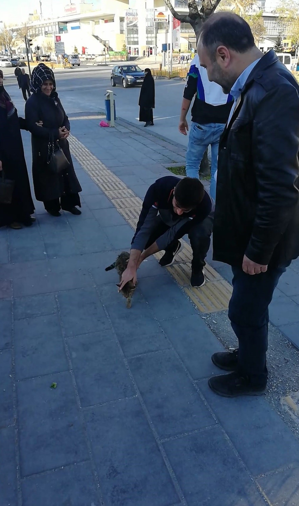 Erzurum'da kedi kurtarma operasyonu