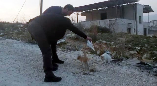 Erzurum Valiliği deprem bölgesindeki sokak hayvanlarını unutmadı