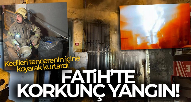 Fatih korkutan yangın: Dumandan etkilenen 4 kişi ve 6 kedi yavrusunu itfaiye ekipleri kurtardı