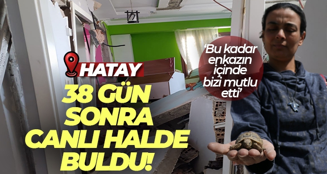 Hatay'da depremzede, ağır hasarlı evine girdiğinde gözlerine inanamadı