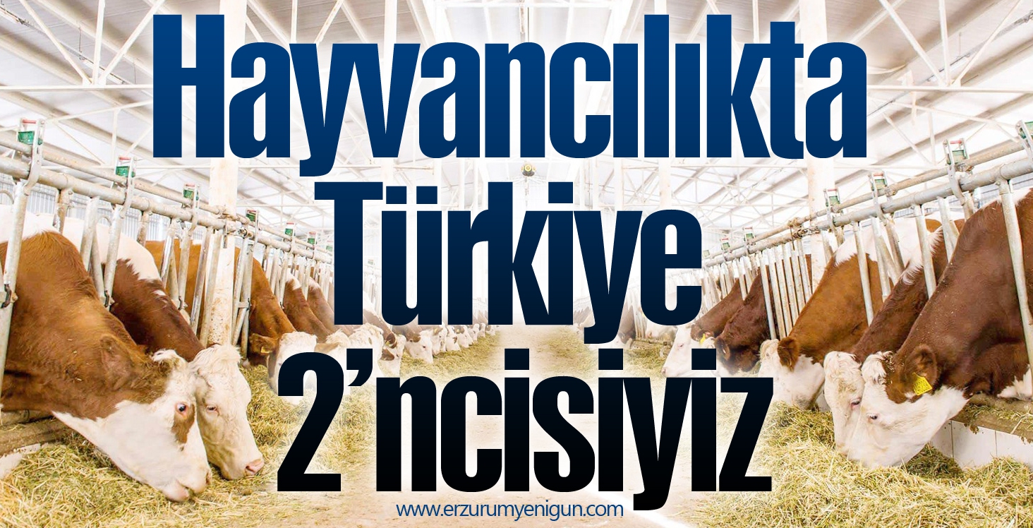 Hayvancılıkta Türkiye 2’ncisiyiz