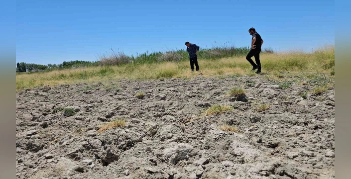 Heybeli Gölü kurudu: Kuraklık, binlerce kuşun yuvasını yok etti