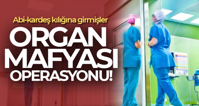 İstanbul'da organ mafyasına operasyon: Satmak isteyenler de gözaltında