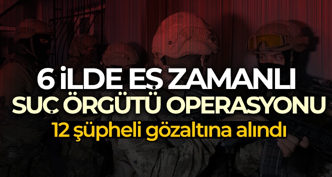İstanbul'da suç örgütü operasyonu