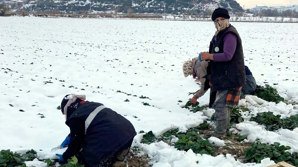 KAR YAĞIŞI BEKLİYOR