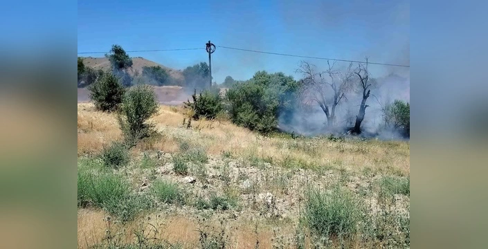 Keban'da otluk alanda yangın: Onlarca dönüm kül oldu