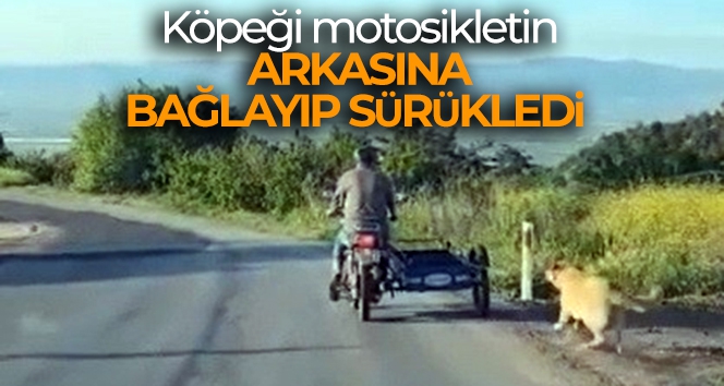 Köpeği motosikletin arkasına bağlayıp sürükledi !