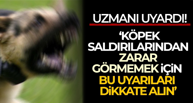 Köpek saldırılarından zarar görmemek için bu uyarıları dikkate alın