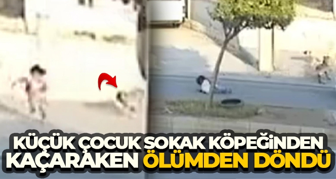 Köpekten kaçan küçük kız aracın altında kalmaktan son anda kurtuldu