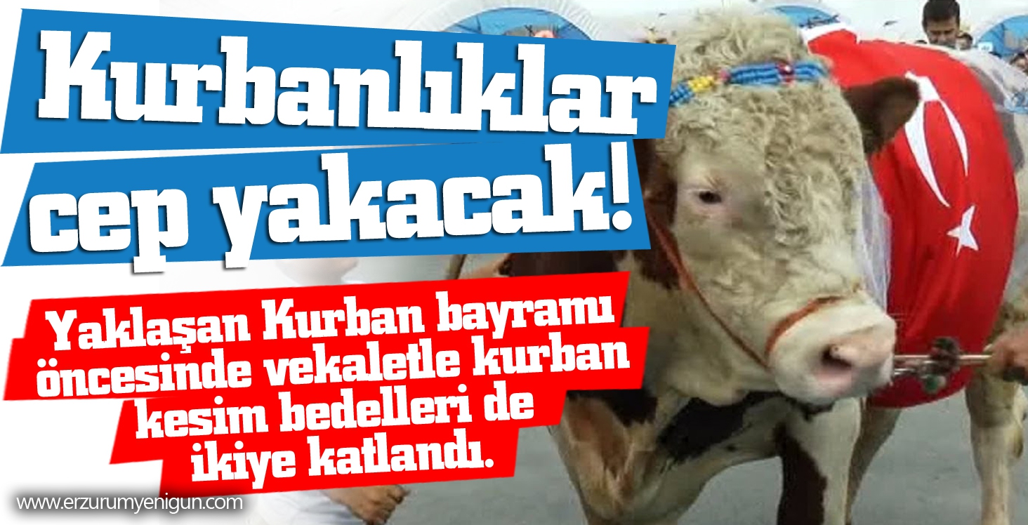 Kurbanlıklar cep yakacak!