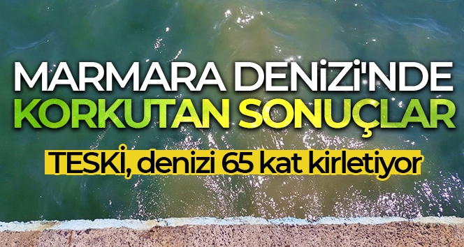 Marmara Denizi'nde korkutan sonuçlar
