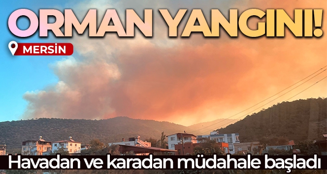 Mersin'de orman yangını: Havadan ve karadan müdahale için ekipler harekete geçti