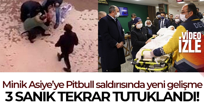 Minik Asiye'ye pitbull saldırısında tahliye edilen 3 sanık tekrar tutuklandı