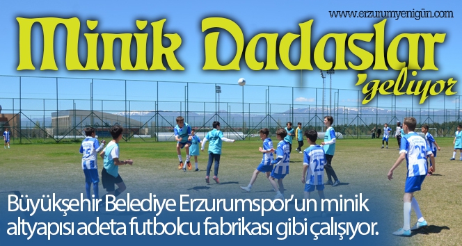 Minik Dadaşlar geliyor 