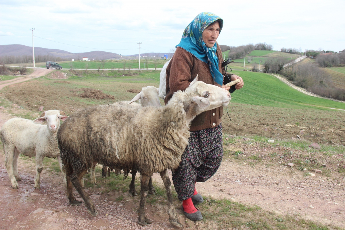 O dağların 60'lık Heidi'si