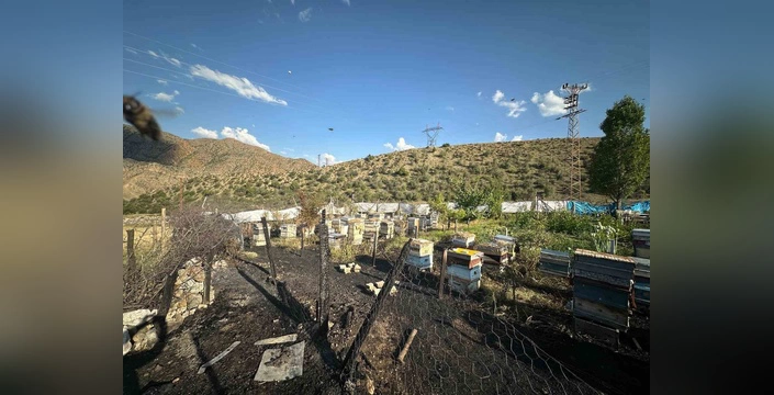 oltu'da yangın: 30 arı kovanı kül oldu