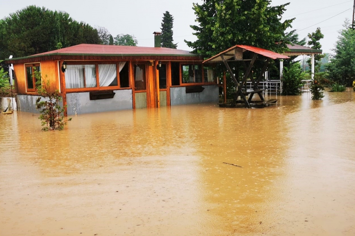 Ordu'da dereler taştı, kümes hayvanları telef oldu