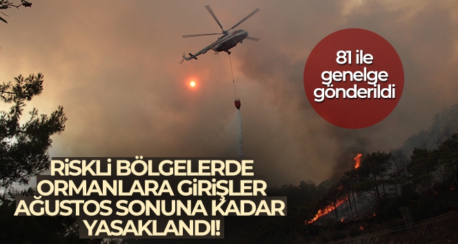 Orman yangını için riskli bölgelere girişler 31 Ağustos'a kadar yasaklandı