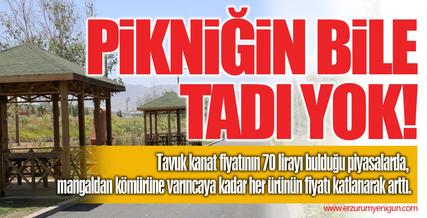 Pikniğin bile tadı yok! 