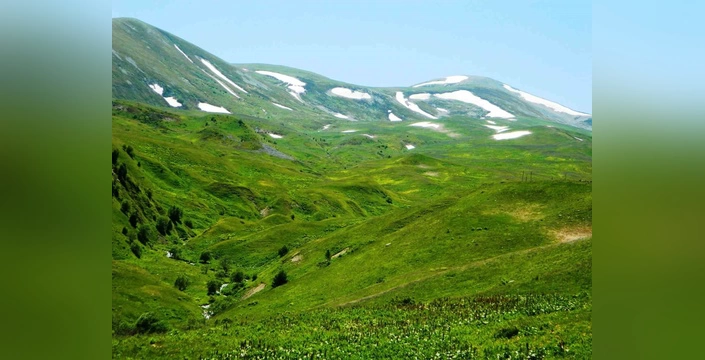 Posof yaylaları yavaş yavaş canlanıyor: Göç nedeniyle azalan nüfus, yayla hayatını etkiliyor