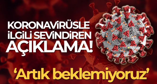 Prof. Dr. Özkaya: 'Artık dalga beklemiyoruz, virüsün bulaşma ve hastalık yapma hızı yavaşladı'